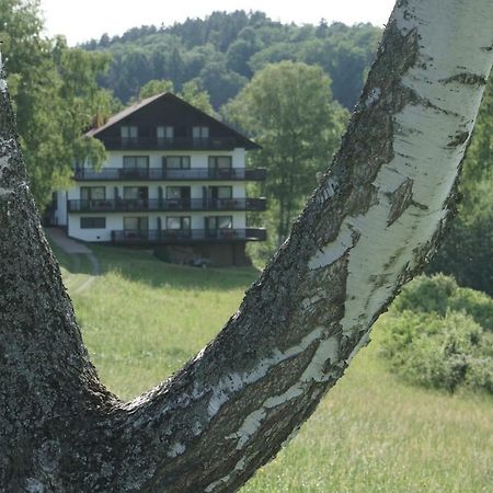 ホテルBirkenhof ヴァルト・ミヒェルバッハ エクステリア 写真