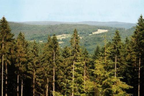 ホテルBirkenhof ヴァルト・ミヒェルバッハ エクステリア 写真