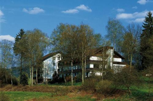 ホテルBirkenhof ヴァルト・ミヒェルバッハ エクステリア 写真