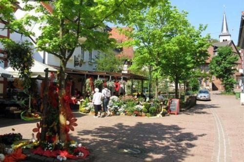 ホテルBirkenhof ヴァルト・ミヒェルバッハ エクステリア 写真