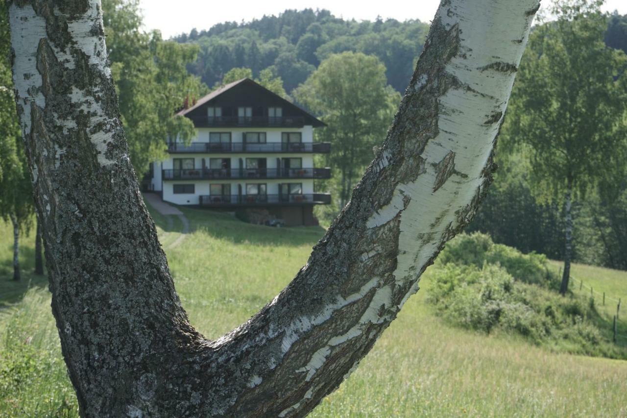 ホテルBirkenhof ヴァルト・ミヒェルバッハ エクステリア 写真