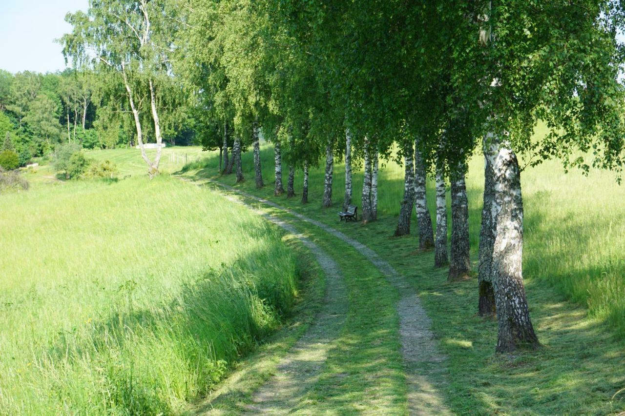 ホテルBirkenhof ヴァルト・ミヒェルバッハ エクステリア 写真