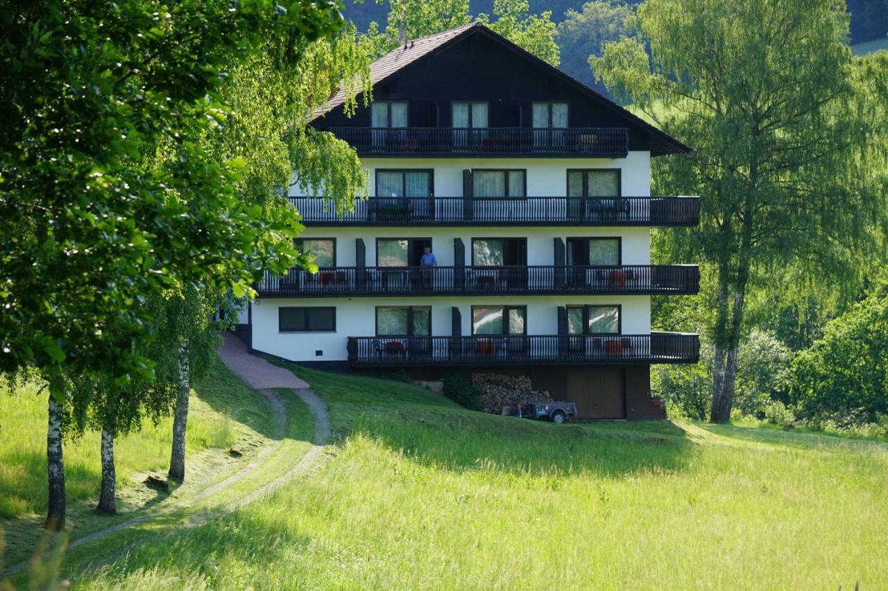 ホテルBirkenhof ヴァルト・ミヒェルバッハ エクステリア 写真