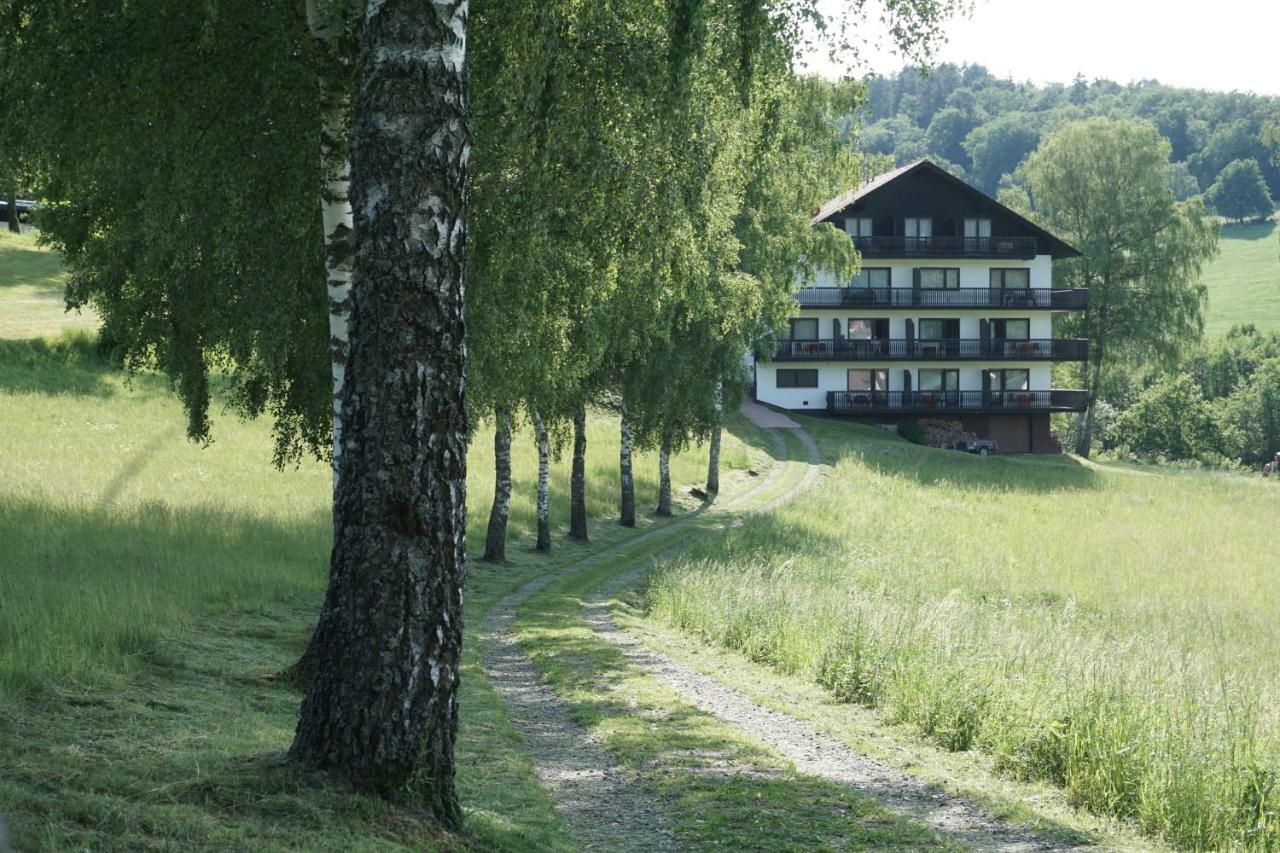 ホテルBirkenhof ヴァルト・ミヒェルバッハ エクステリア 写真